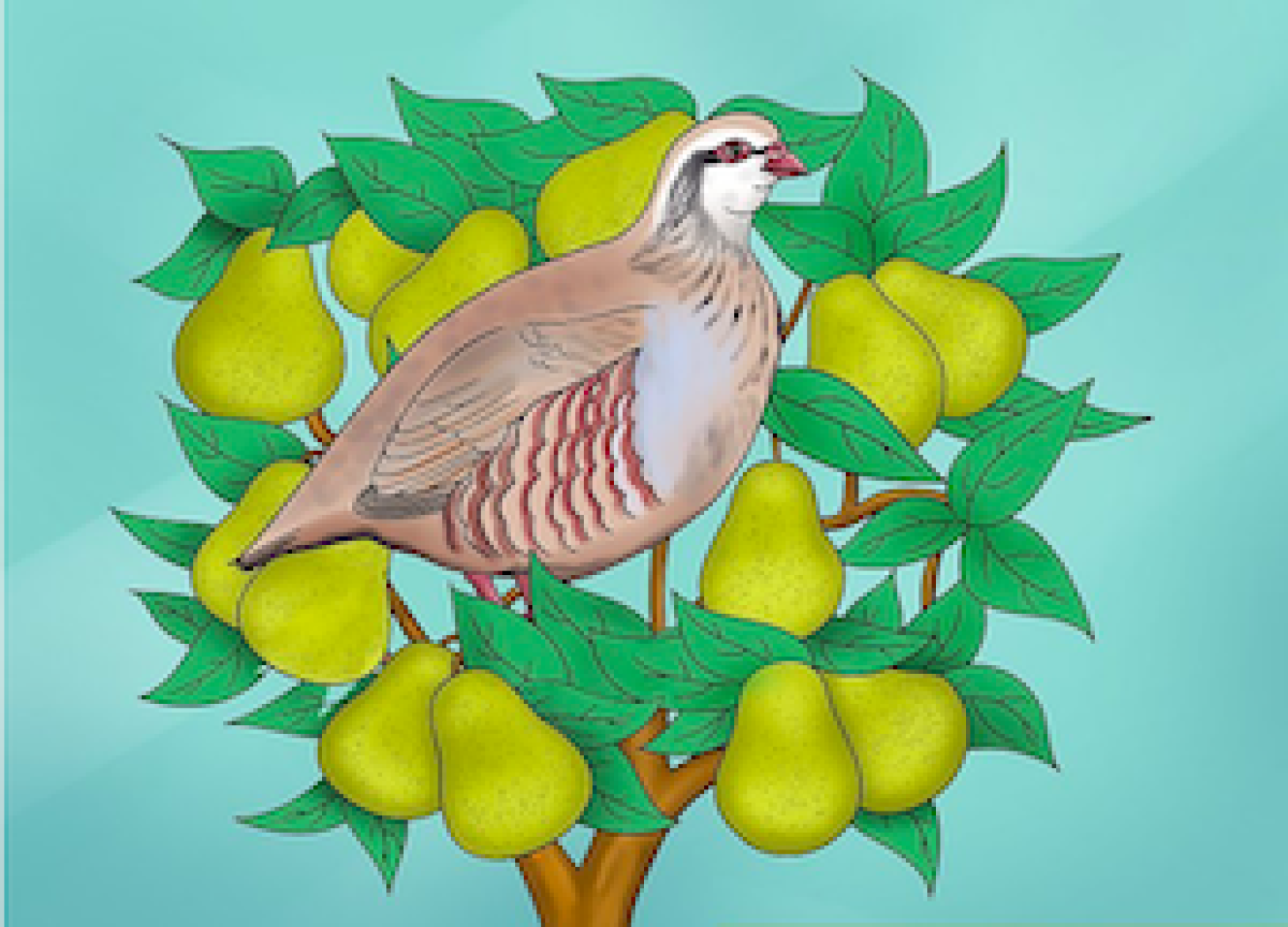 1st Day of Christmas